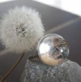 /album/unsere-werke-3/a1-mit-wenig-schirmchen-jpg/